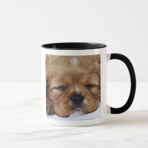 Mug Sommeil cavalier de chiot d'épagneul du Roi