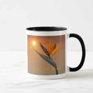 Mug sommes nous ce que nous mangeons