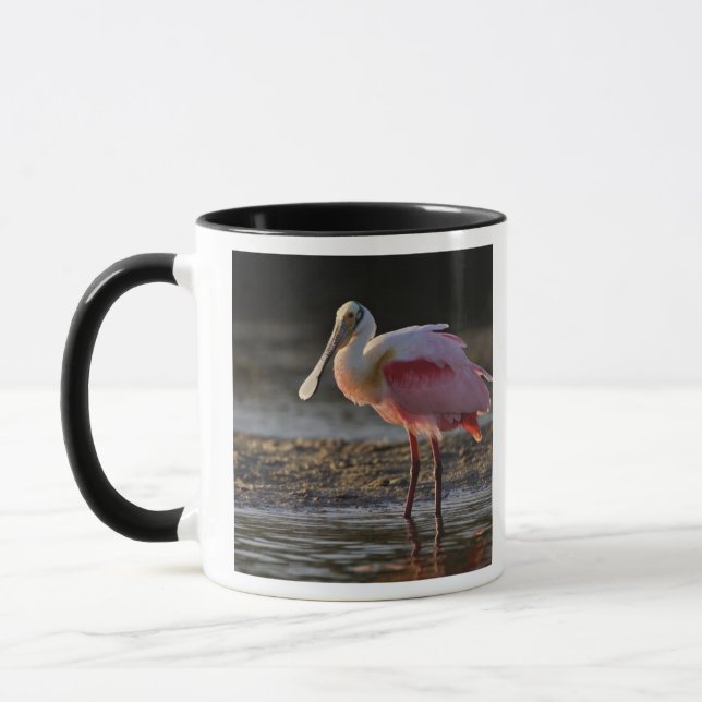 Mug Spatule rosée, Ajaia ajaja, Ding Darling (Gauche)