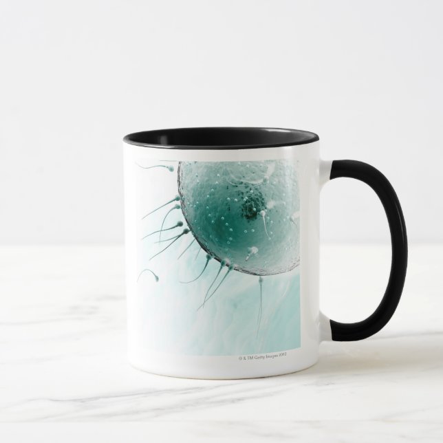 Mug Sperme fertilisant un ovule (Droite)