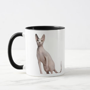 Mug Sphynx (13 mois)