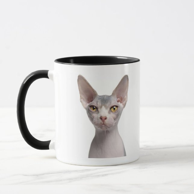 Mug Sphynx (7 mois) (Gauche)