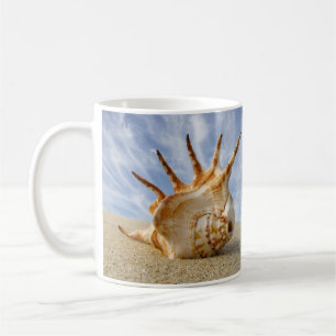Mug Spider Conch Shell sur Sandy Beach