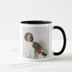 Mug Springer spaniel