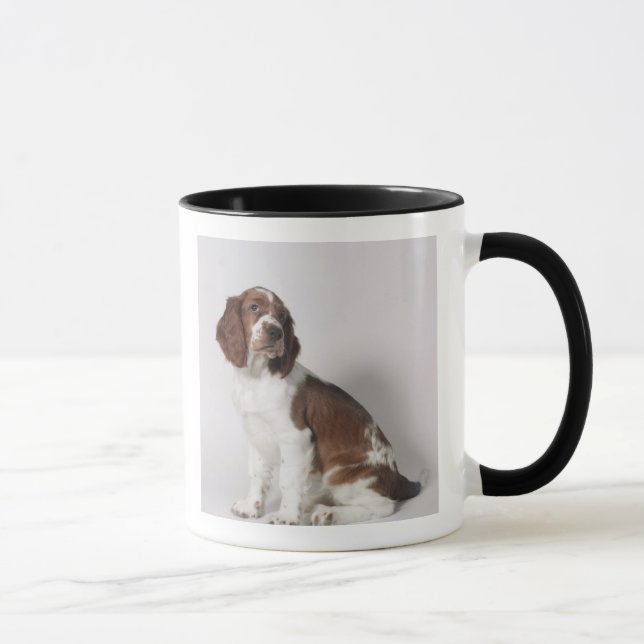 Mug Springer spaniel (Droite)