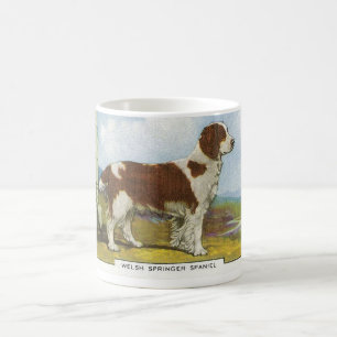 Mug Springer spaniel de Gallois