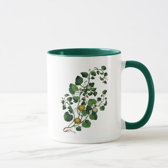 Mug Squash Vine 4 (Droite)