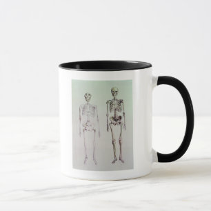 Mug Squelettes des australopithèques Boisei