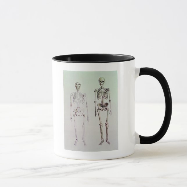 Mug Squelettes des australopithèques Boisei (Droite)