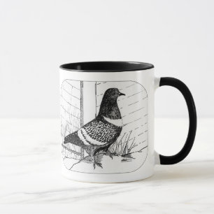 Mug Starling Pigeon 1973