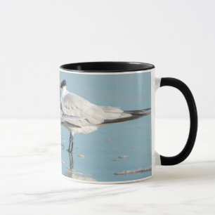 Mug Sternes royales sur la plage
