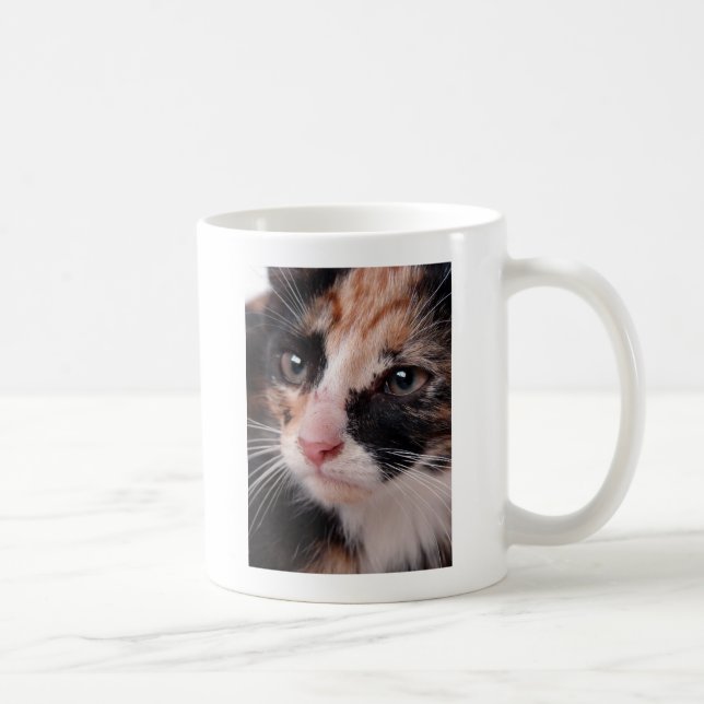 Mug Stray Kitten (Droite)