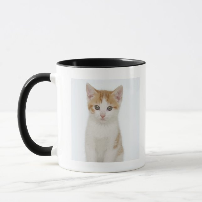 Mug Studio tiré du chaton (Gauche)