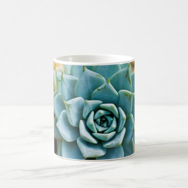 Mug Succulente (Centre)
