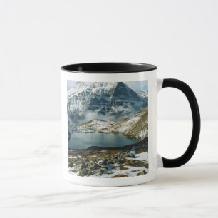 Mug Suisse, Grindelwald, Alpes bernoises, Vue