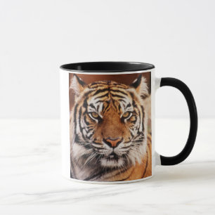 Mug Sumatran Tiger