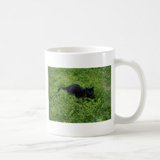 Mug summer.jpg biggby