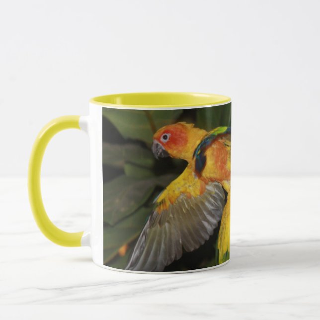 Mug Sun Conures (Gauche)