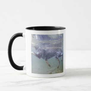 Mug Sun Valley, Idaho, Etats-Unis