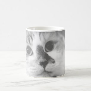 Mug SUPER CUTE Cat Portrait Photographie