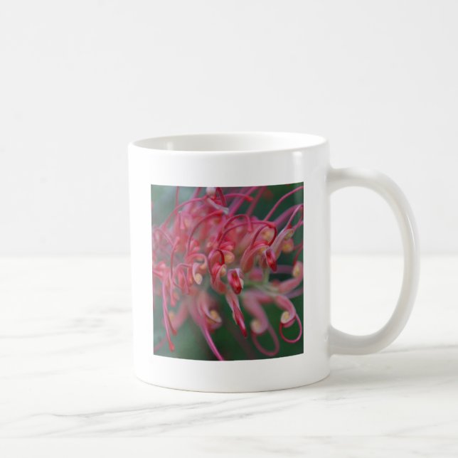 Mug Superbe Macro Grevilla (Droite)
