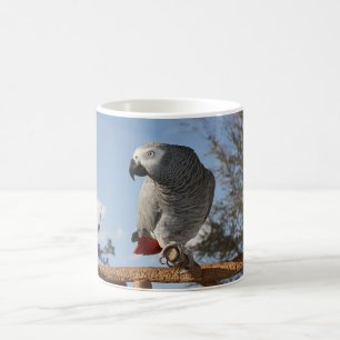 Mug Superbe perroquet gris africain