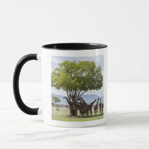 Mug Sur le safari en parc national de Mikumi en