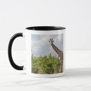 Mug Sur le safari en Tanzanie, l'Afrique. 2