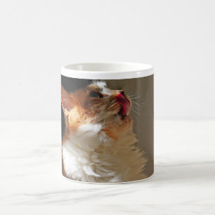 Mug Sweet Cat Sammi Jolie jolie photo