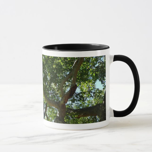 Mug Sycamore Tree Nature verte (Droite)