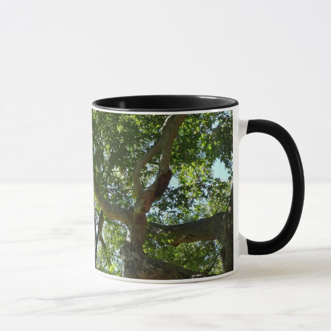 Mug Sycamore Tree Nature verte (Droite)