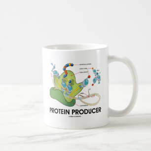 Mug Synthèse de la protéine de biologie des producte