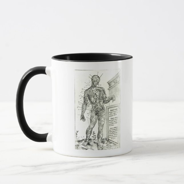 Mug Système vasculaire selon Charles Etienne (Gauche)