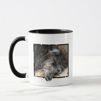 Mug T-shirt Deerhound dessin animé
