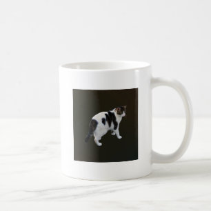 Mug Tabby Blanc Avec Patches Sombres