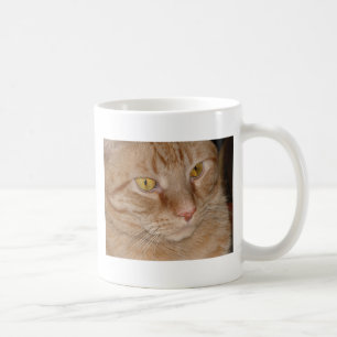Mug Tabby Cat d'Orange