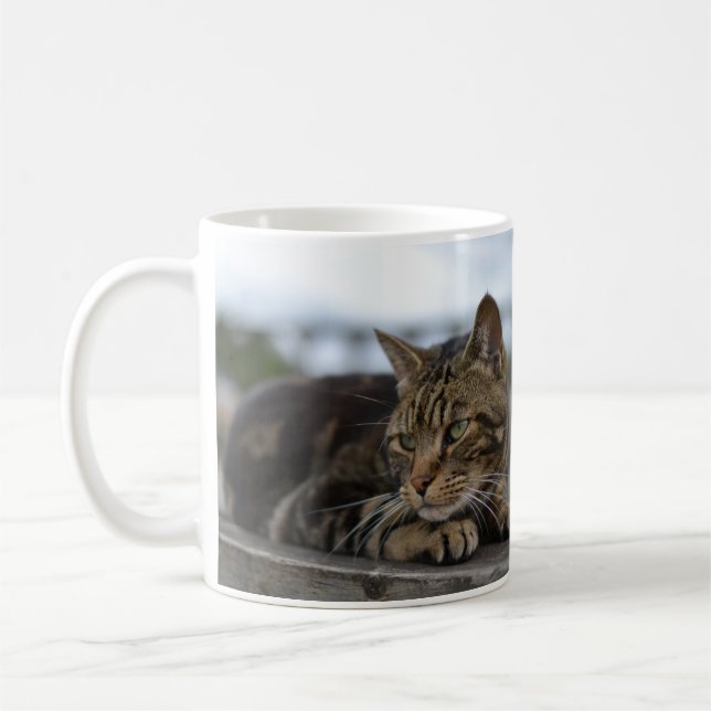 Mug Tabby cat prêt à l'action (Gauche)
