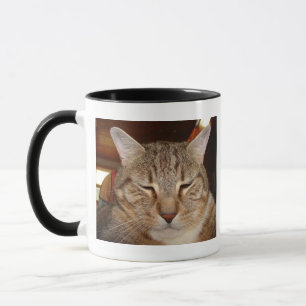 Mug Tabby Tiger Cat