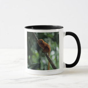 Mug Tamarin d'or de lion (rosalia de Leontopithecus)