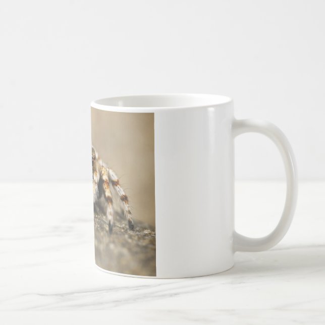 Mug Tarantula Jumping Bird Spider fantastiques accesso (Droite)