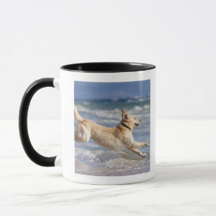 Mug Tarifa, Cadix, Andalousie, Espagne