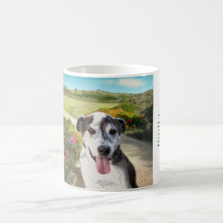 Mug Tarte dans un domaine des dahlias (chien sur la