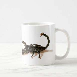 Mug Tasse/tasse de scorpion d'empereur