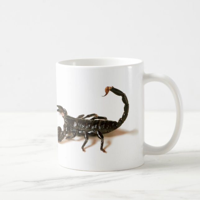 Mug Tasse/tasse de scorpion d'empereur (Droite)