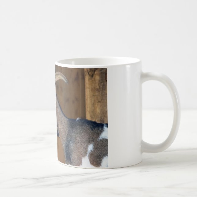 Mug Tauernschecken-Ziege (Droite)