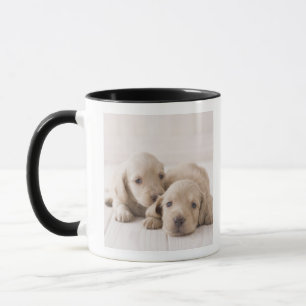 Mug Teckel de deux miniatures