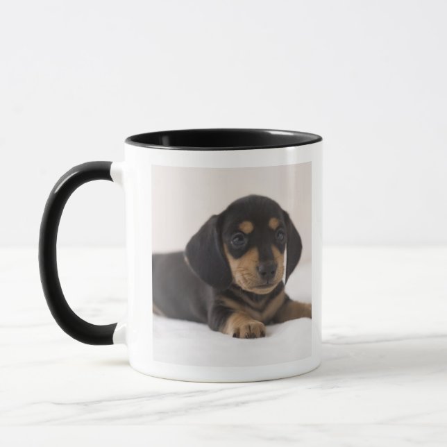 Mug Teckel miniature (Gauche)