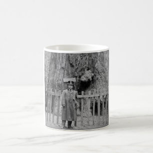 Mug Teddy Roosevelt au grand verger Santa Cruz d'arbre