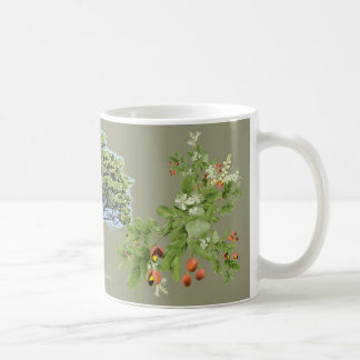 Mug Tendência ilustração botânica Copaíba khaki