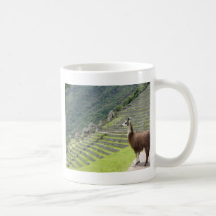 Mug terres du llama